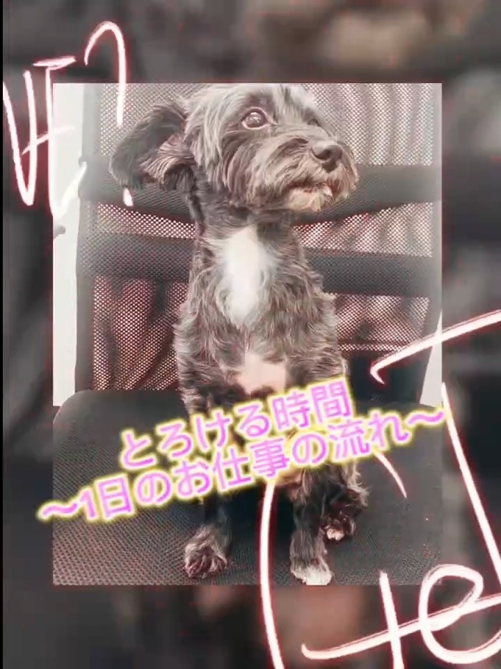 とろける時間～脳バク♡エステ～ アピールポイント!!動画