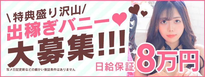 ドMなバニーちゃん すすきの店の即日体験入店OK求人