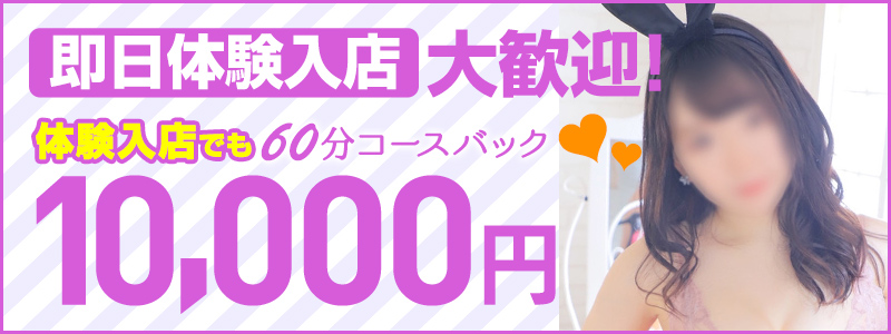 ドMなバニーちゃん すすきの店の即日体験入店OK求人