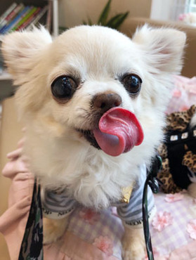 ◆経験問わず大人の女性を積極採用中◆