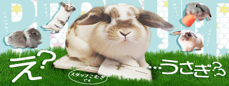 ぷるりんクエスト上野浅草鶯谷秋葉原デリヘル王国の即日体験入店OK求人